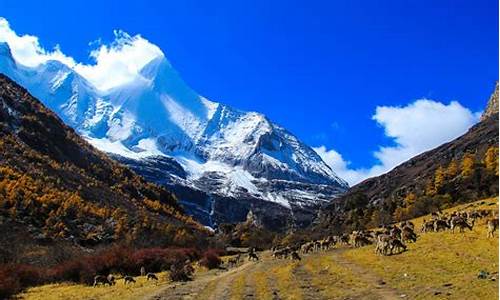 稻城亚丁旅游攻略三天_稻城亚丁攻略自由行几日游好