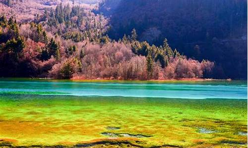 成都出发九寨沟旅游纯玩团_成都出发九寨沟自由行