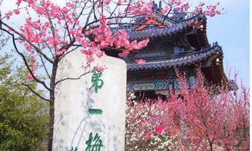 龙岩梅花山_龙岩梅花山旅游景区