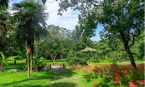 杭州植物园佛头_杭州植物园