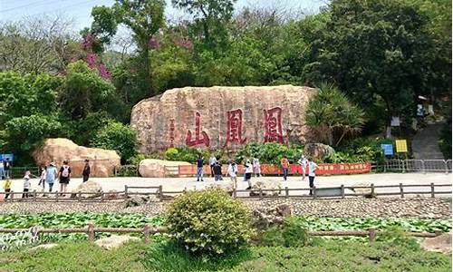 深圳凤凰山公园_深圳凤凰山公园在哪里