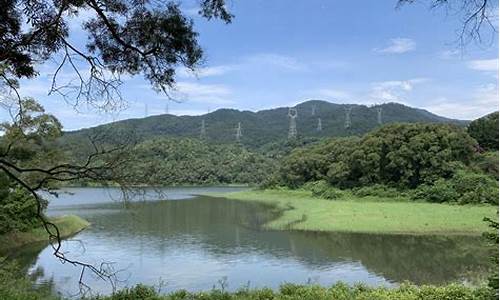 厦门天竺山森林公园缆车_厦门天竺山森林公园缆车开放时间