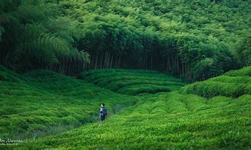 浙江莫干山自由行攻略_浙江莫干山自由行攻略两日游