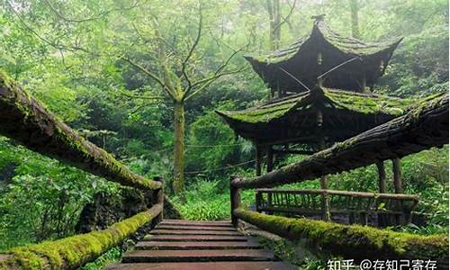 青城山旅游攻略一日游价格_青城山旅游攻略一日游价格多少