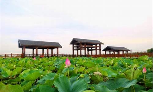 东丽湖自然艺苑景区_东丽湖自然艺苑景区可以自己烧烤吗多少钱